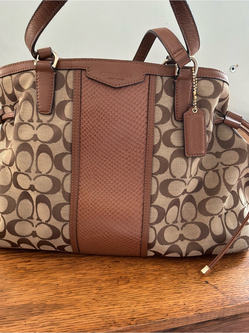Coach Signature Brown/Khakl Python Stripe Carryall E1495-F29863
